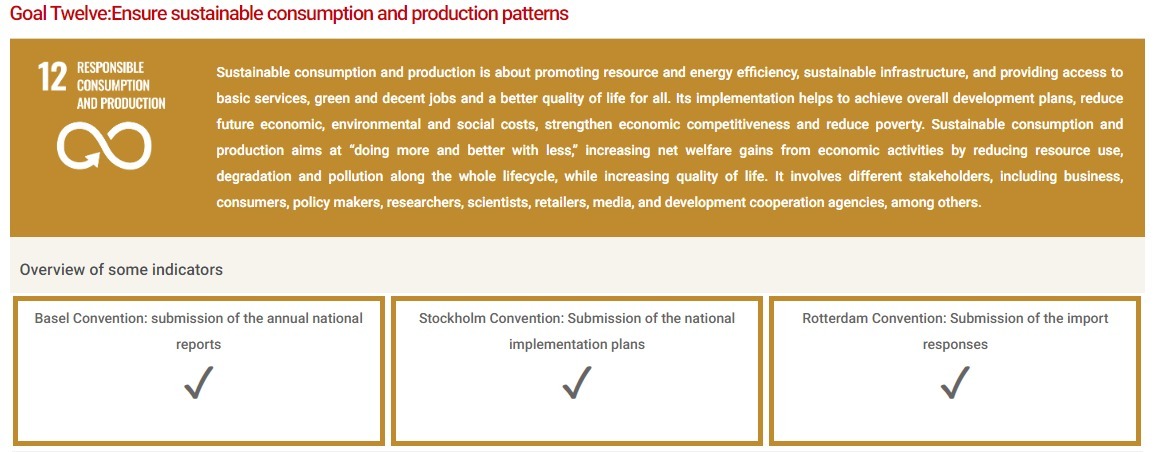 Bahrain Efforts for SDG 12